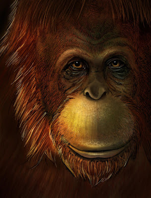 Γιγαντοπίθηκος: Ήταν ο μεγαλύτερος που έζησε στη Γη