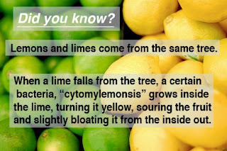 weird fact about lemons