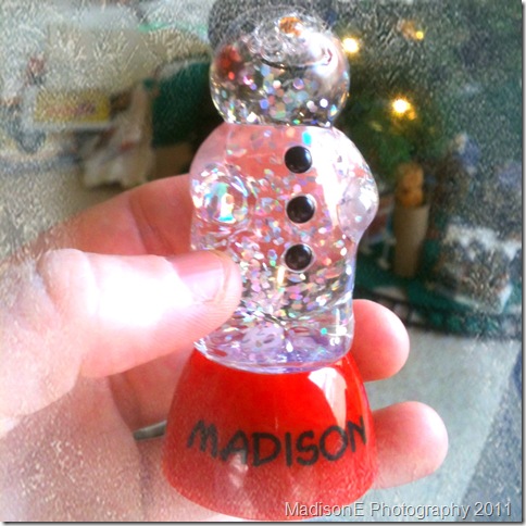 December 26, 2011 033