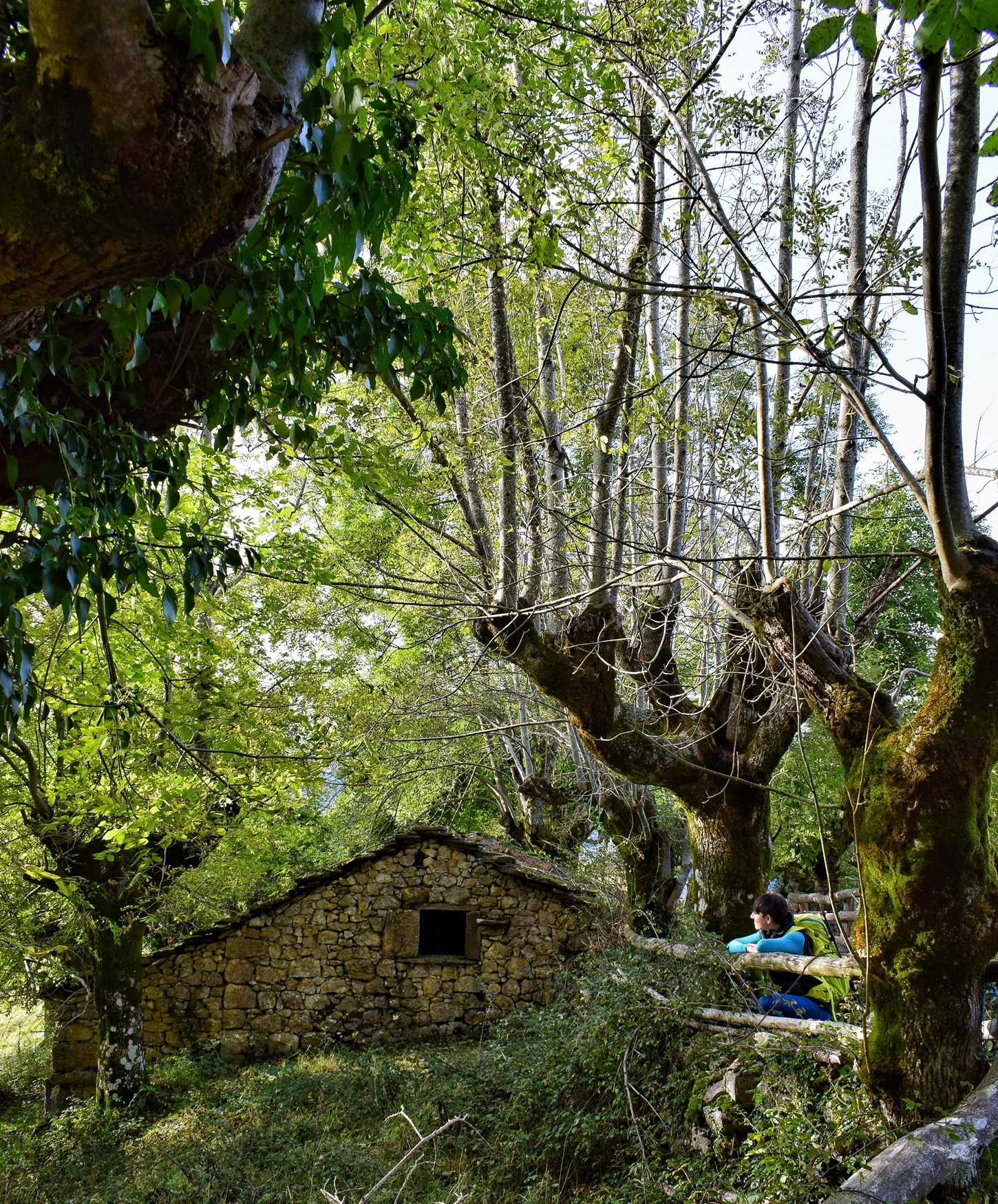 casa collada fielpe