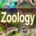 what is zoology
