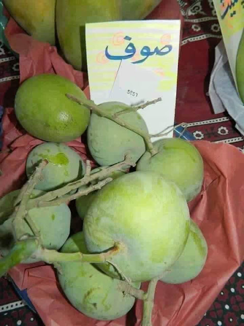 How many types of mangoes in Pakistan