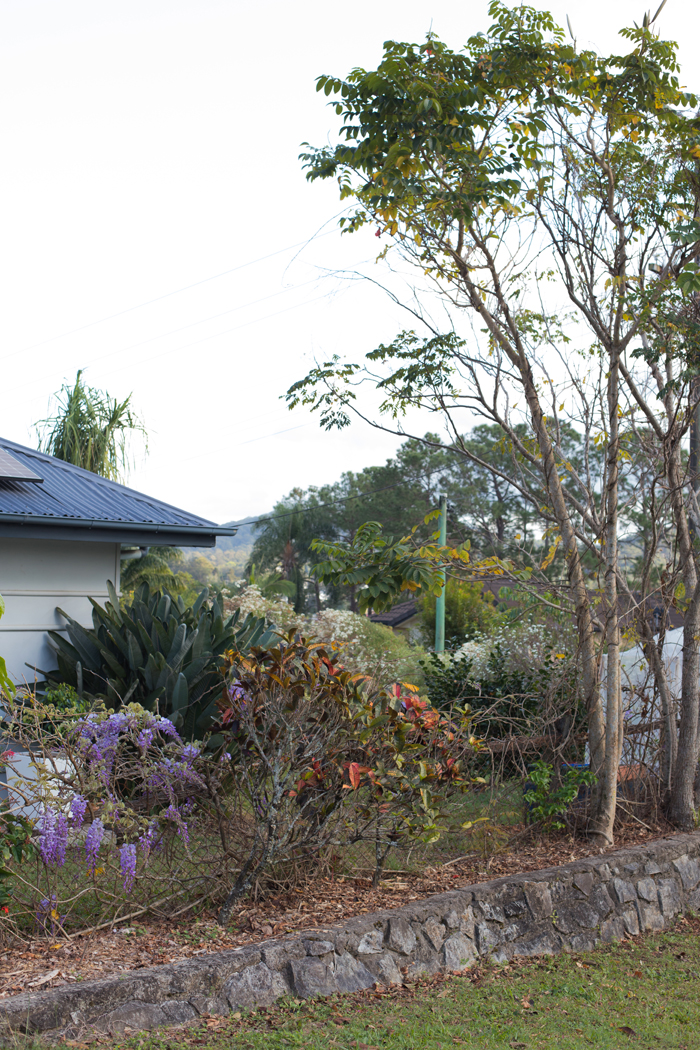 side view of garden