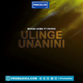 AUDIO | Msaga Sumu Ft. Papasi – Ulinge Unanini | Download