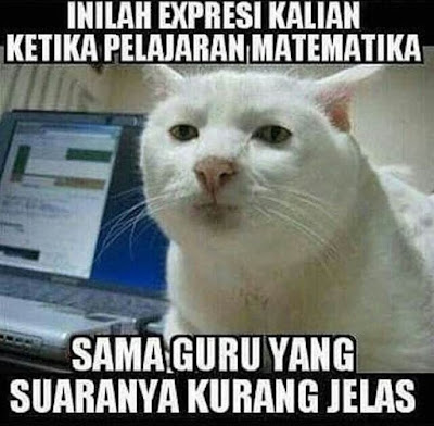 13 Meme 'Kucing' Ini Lucu Banget Bikin Gemes Campur Ngakak