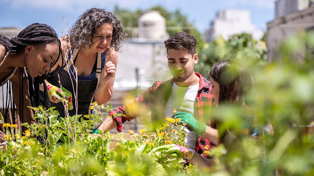 On field learning , where student learn practically