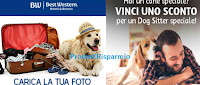 Logo Scarica i buoni sconto per Dog Sitter e Hotel Pet-Friendly