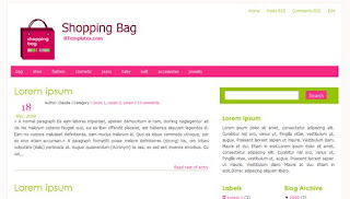 Shopping Bag