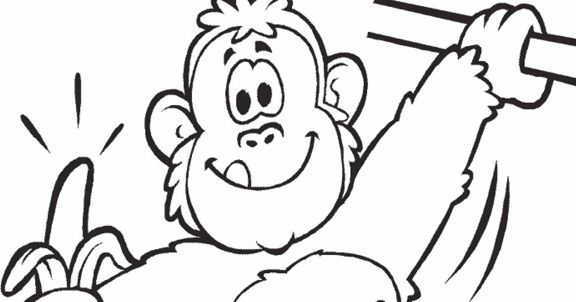 Belajar mewarnai gambar  binatang monyet yang lucu untuk 