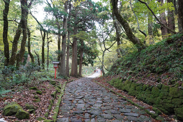 鳥取県西伯郡大山町大山　大神山神社奥宮参道の石畳