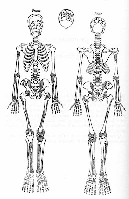 Conjunto dos ossos de São Pedro achados no túmulo