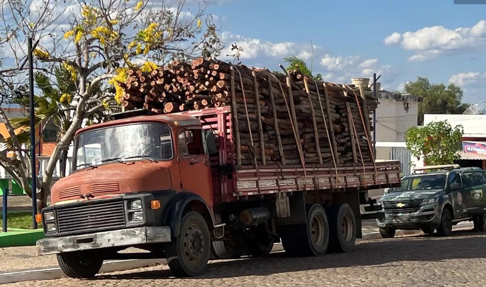   Carga de madeira irregular avaliada em R$ 500 mil é apreendida no oeste baiano