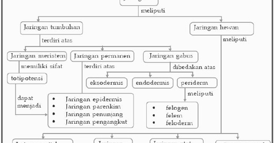  Peta  konsep  jaringan  hewan  dan tumbuhan Pustaka Pandani