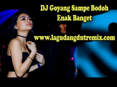 Download DJ Remix Goyang Sampe Bodoh Enak Banget Mp3
