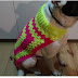 Ropa para mascotas paso a paso en crochet 