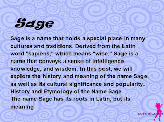 meaning of the name "Sage"