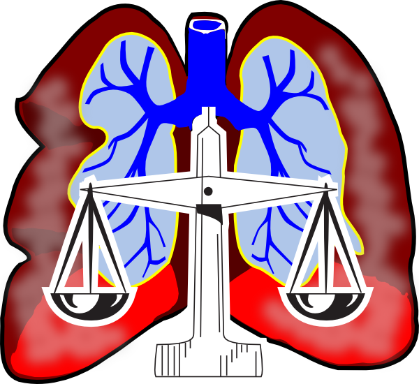 information about mesothelioma lawsuits and settlements i t is of 