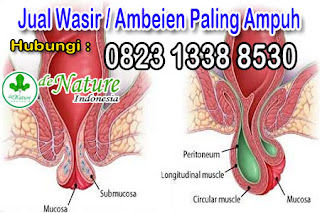 obat wasir herbal paling ampuh bagus terbaik tersedia di apotik terdekat