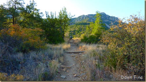 South rim hike,Big bend_007