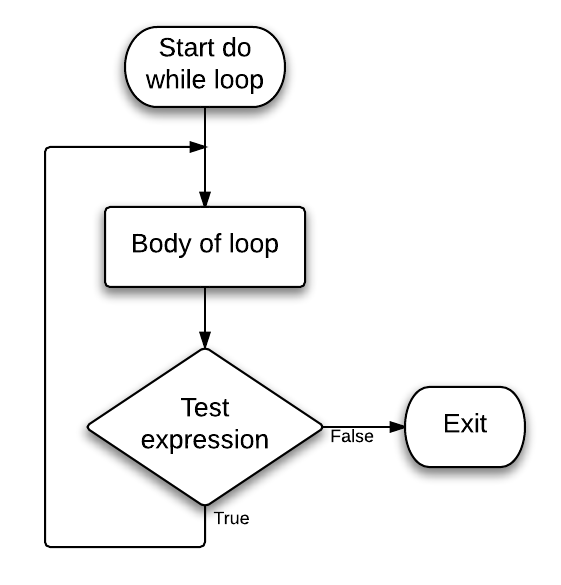 Program and Flow chart, operation to describe while loop 