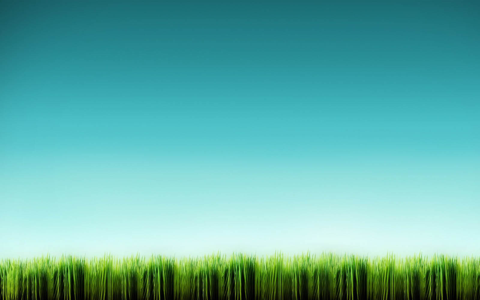  wallpapers Tall Grass Wallpapers 