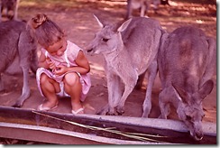 australia (17)