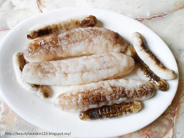  SEA CUCUMBER 