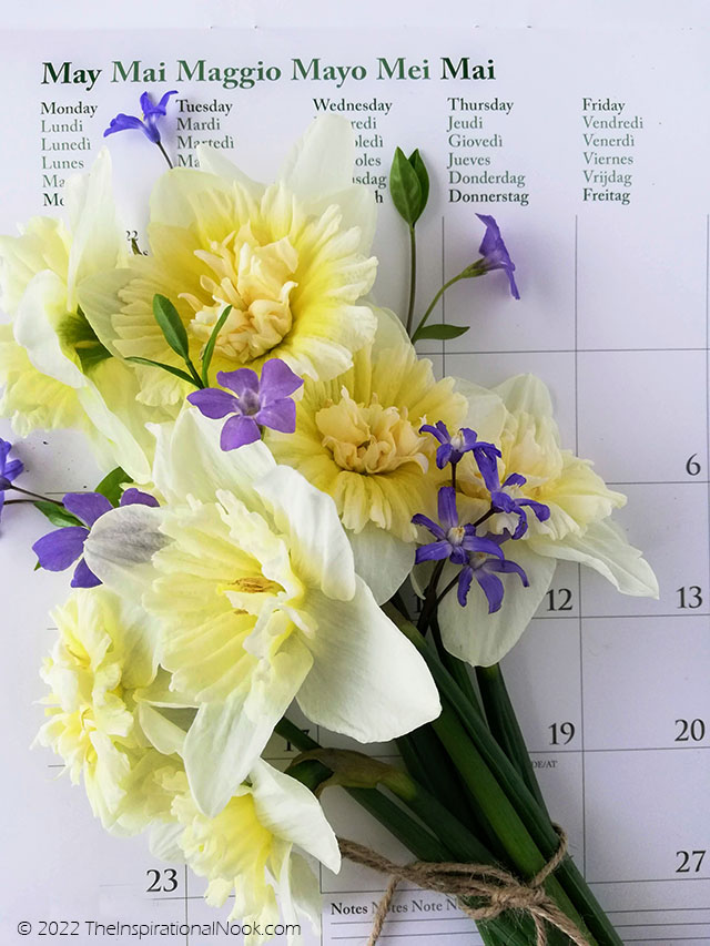 Flower posy of yellow daffodils and blue wild violets on a May calendar
