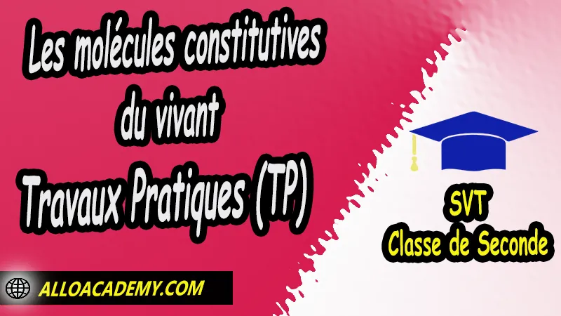 Les molécules constitutives du vivant - Travaux Pratiques (TP) - SVT Seconde (2nde) Lycée, Travaux Pratiques (TPs) de Thème 1 – La Terre dans l’Univers, la vie et l’évolution du vivant : une planète habitée, La Terre, une planète habitée, Sciences de la Vie et de la Terre (SVT) seconde, Sciences de la Vie et de la Terre (SVT) en classe de seconde générale et technologique, programme svt seconde pdf, programme svt lycée, études secondaires, prof svt, prof particulier svt, cours svt seconde pdf, svt 2nde, cours svt - lycée pdf, cour de svt seconde, résumé cours svt seconde pdf, Exercices corrigés de SVT en classe de seconde Travaux Pratiques (TP) SVT en classe de seconde fiche svt seconde, quel est le programme de svt en seconde, Sciences de la Vie et de la Terre seconde, Sciences de la Vie et de la Terre 2nde pdf, Sciences de la Vie et de la Terre lycée pdf, classe de seconde, Sciences de la Vie et de la Terre seconde exercices corrigés pdf, Sciences de la Vie et de la Terre seconde manuel, Le programme de Sciences de la Vie et de la Terre au secondaire, cours de Sciences de la Vie et de la Terre seconde gratuit en ligne, Système éducatif en France, Le programme de la classe de Seconde en France