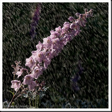 Blog_20110627_1-4