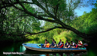 hutan mangrove pulau bintan