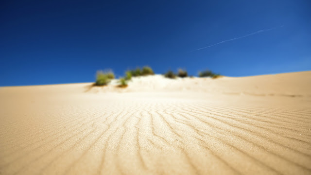 Something In Sand HD Wallpaper