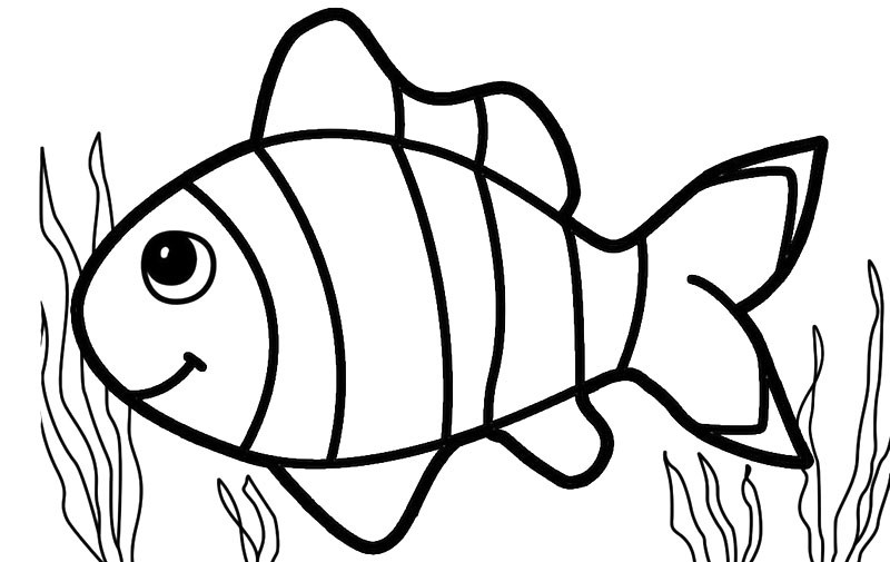 Unduh 89 Gambar Sketsa Ikan Nemo Terbaru - Info Gambar