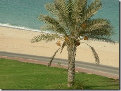 DSCF0090