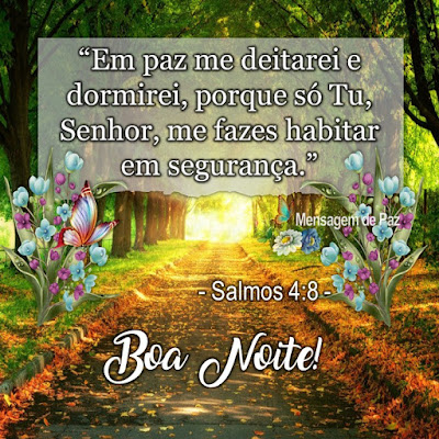 "Em paz me deitarei e  dormirei, porque só Tu,  Senhor, me fazes habitar  em segurança."  - Salmos 4.8 -   Boa Noite!