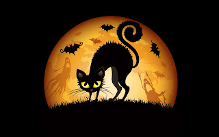 halloween wallpaper cats