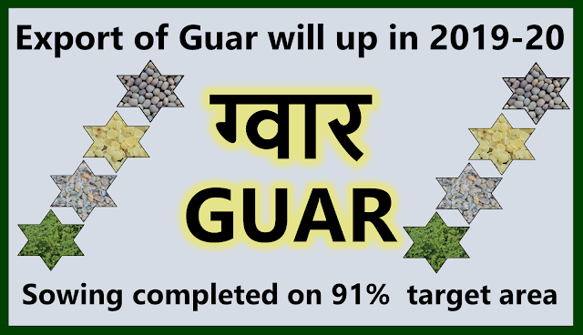 Export of Guar products will be increasing in in 2019-2020, Guar, guar gum, guar price, guar gum price, guar demand, guar gum demand, guar seed production, guar seed stock, guar seed consumption, guar gum cultivation, guar gum cultivation in india, Guar gum farming, guar gum export from india , guar seed export, guar gum export, guar gum farming, guar gum cultivation consultancy, today guar price, today guar gum price, ग्वार, ग्वार गम, ग्वार मांग, ग्वार गम निर्यात 2018-2019, ग्वार गम निर्यात -2019, ग्वार उत्पादन, ग्वार कीमत, ग्वार गम मांग, Guar Gum, Guar seed, guar , guar gum, guar gum export from india, guar gum export to USA, guar demand USA, guar future price, guar future demand, guar production 2019, guar gum demand 2019, guar, guar gum, cluster beans, guar gum powder, guar gum price, guar gum uses, ncdex guar, guar price, guar gum price today, cyamopsis tetragonoloba, ncdex guar gum price, guar beans, guar rate today