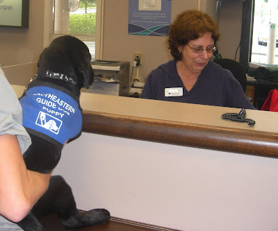 Picture of Rudy looking over the counter at the bank