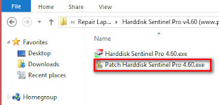 Download Harddisk Sentinel V4.60 With Patch + Crack