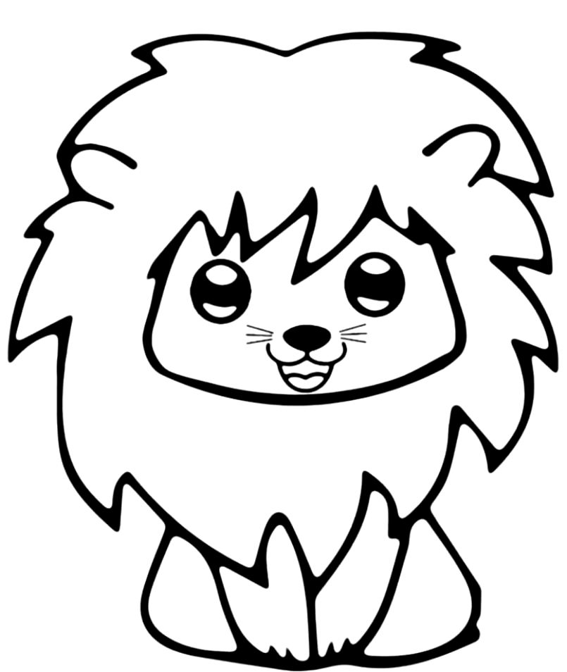 Baby litttle Lion