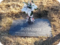 DSCN0321