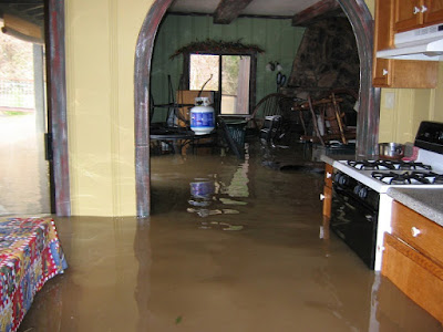 https://www.servicemasterrestorations.com/water-damage.html