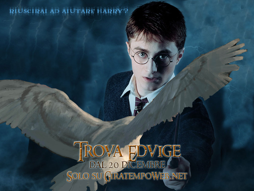 Free Harry Potter Wallpapers: Download Harry Potter Photos & Pictures 