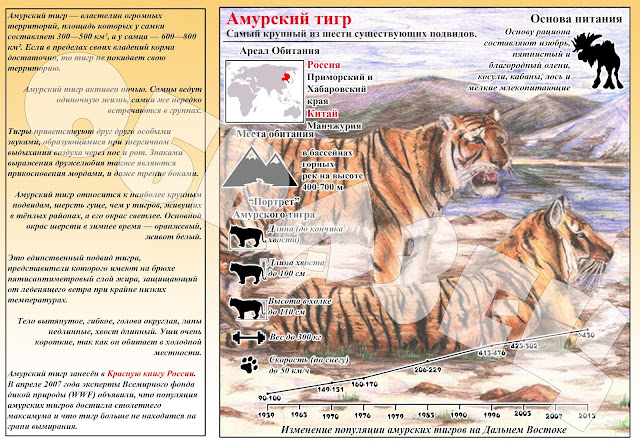 буклет в защиту амурского тигра