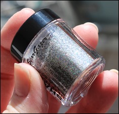 StarGazer Glitter Shaker Swatches Hologramm Silver