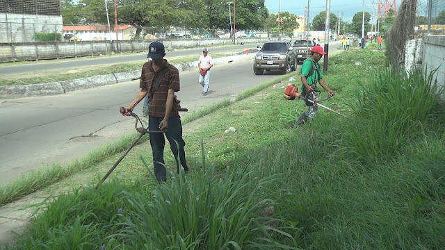 Alcaldia de San Fernando realizó limpieza desmalezamiento de la avenida “Raúl Leoni”.