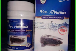 Jual Kapsul Pro Albumin Di Buton Selatan | WA : 0857-4839-4402