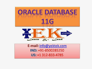 Oracle Database 11g Training