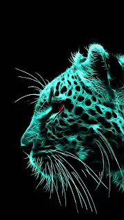 Desktop Wallpaper: cheetah, digital art, dark background