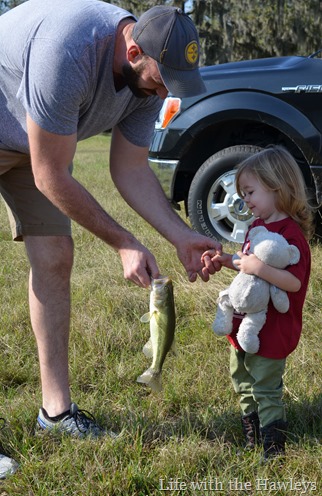 DSC_0688 DSC_0688